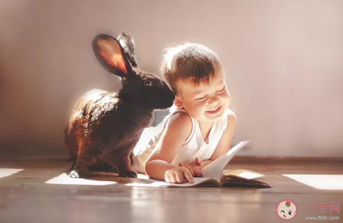 让孩子见世面一定要很有钱吗 怎么带孩子见世面 让孩子见世面一定要很有钱吗 怎么带孩子见世面