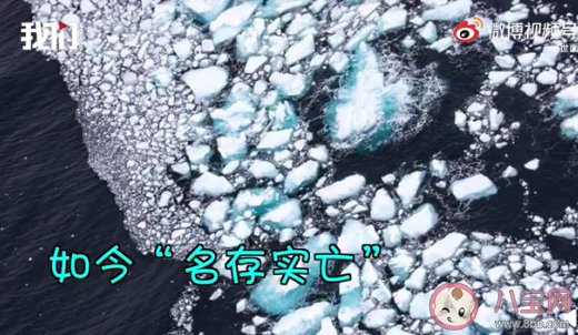 世界最大冰山已融化分裂是什么原因 冰川融化代表着什么 世界最大冰山已融化分裂是什么原因 冰川融化代表着什么
