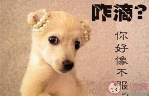 同事发脾气该不该回怼 面对发脾气的同事怎么办