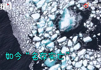 世界最大冰山已融化分裂是什么原因 冰川融化代表着什么
