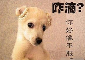 同事发脾气该不该回怼 面对发脾气的同事怎么办