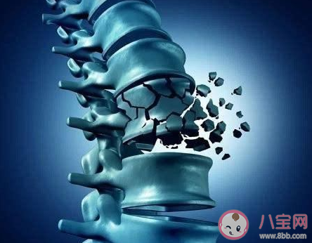 蚂蚁庄园仅靠补钙就能治疗骨质疏松吗 今日4月21日答案 蚂蚁庄园仅靠补钙就能治疗骨质疏松吗 今日4月21日答案