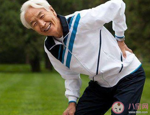 蚂蚁庄园仅靠补钙就能治疗骨质疏松吗 今日4月21日答案 蚂蚁庄园仅靠补钙就能治疗骨质疏松吗 今日4月21日答案