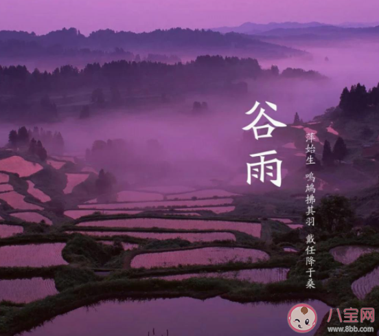 2021今日谷雨文案暖心 2021今日谷雨发朋友圈