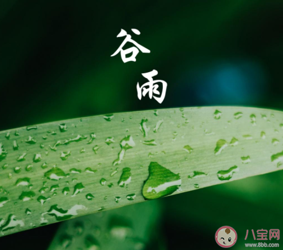 2021今日谷雨文案暖心 2021今日谷雨发朋友圈
