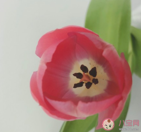 人生中最苦的日子是怎么熬过来的 该怎样度过艰难的日子