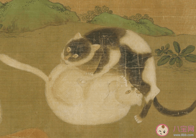 陆游我与狸奴不出门中狸奴指什么 蚂蚁庄园4月21日正确答案 陆游我与狸奴不出门中狸奴指什么 蚂蚁庄园4月21日正确答案