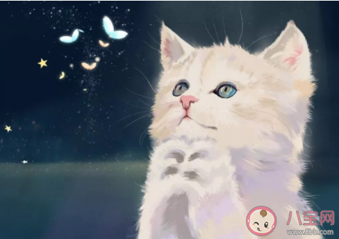 我与狸奴不出门中狸奴指什么 蚂蚁庄园今日4月22日答案 我与狸奴不出门中狸奴指什么 蚂蚁庄园今日4月22日答案