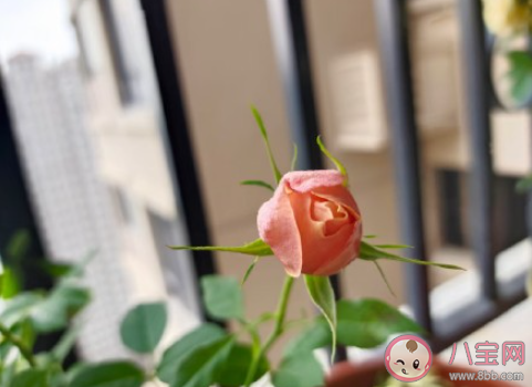 从哪一瞬间发现自己老了 觉得自己老了是什么感受