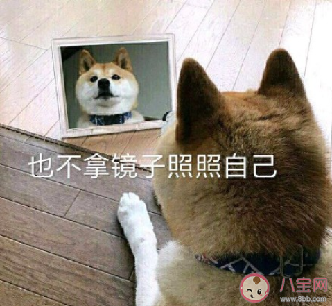 从哪一瞬间发现自己老了 觉得自己老了是什么感受