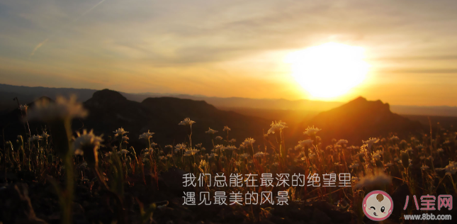 有哪些优美的励志发朋友圈句子 2021朋友圈励志唯美说说语录