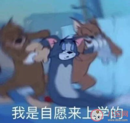 8岁孩子给父母报辅导班是怎么回事 父母为什么要给孩子报辅导班 8岁孩子给父母报辅导班是怎么回事 父母为什么要给孩子报辅导班