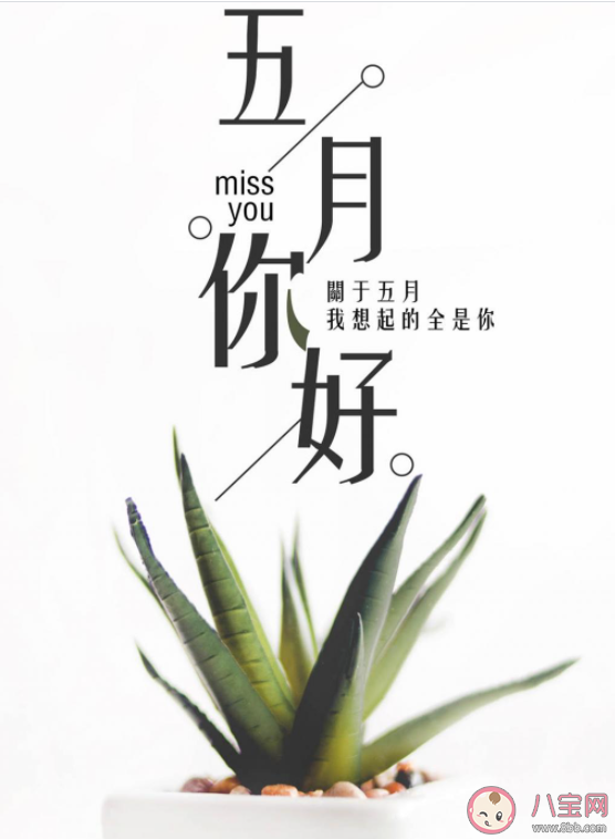 2021告别四月迎接五月朋友圈文案 2021再见四月你好五月经典句子