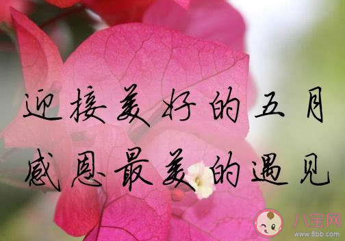 2021四月最后一天文案短句励志 2021四月最后一天朋友圈说说