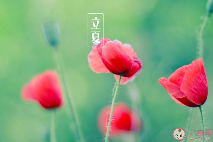 2021立夏节气经典朋友圈祝福语说说 2021立夏节气一句话说说语录