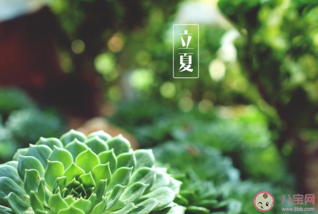 2021立夏节气经典朋友圈祝福语说说 2021立夏节气一句话说说语录