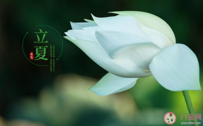 2021立夏图片早安心语文案说说 2021立夏祝福语图片说说大全 2021立夏图片早安心语文案说说 2021立夏祝福语图片说说大全