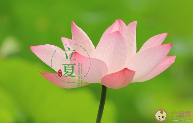 2021立夏图片早安心语文案说说 2021立夏祝福语图片说说大全 2021立夏图片早安心语文案说说 2021立夏祝福语图片说说大全