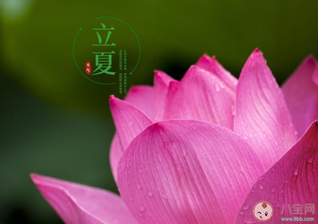 2021立夏图片早安心语文案说说 2021立夏祝福语图片说说大全 2021立夏图片早安心语文案说说 2021立夏祝福语图片说说大全