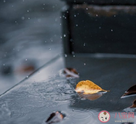 雨天睡眠质量好的原因是什么 为什么下雨天睡得更香