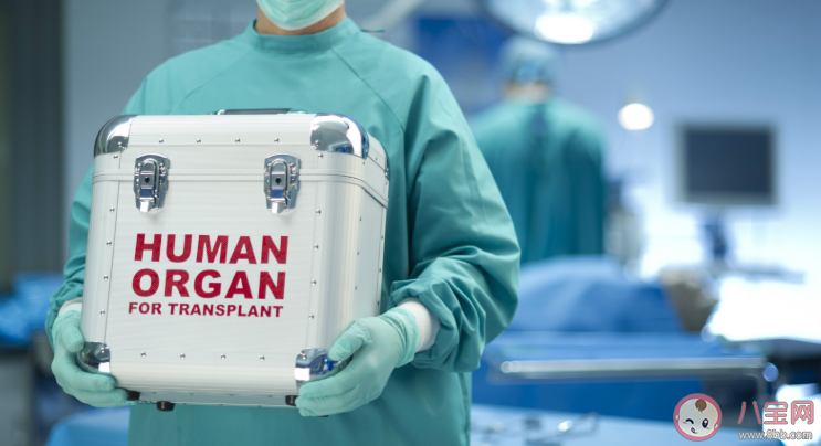 器官捐献怎么登记申请 器官捐献实体卡多久能拿到 器官捐献怎么登记申请 器官捐献实体卡多久能拿到