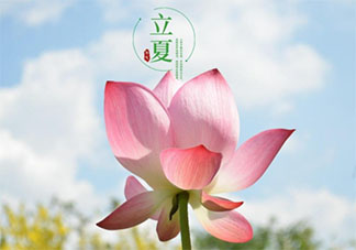 2021立夏图片早安心语文案说说 2021立夏祝福语图片说说大全