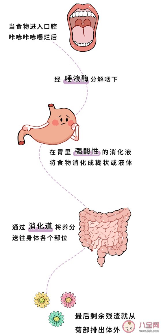 不小心吞下口香糖会不会粘在肠子上 把口香糖咽下去了会发生什么