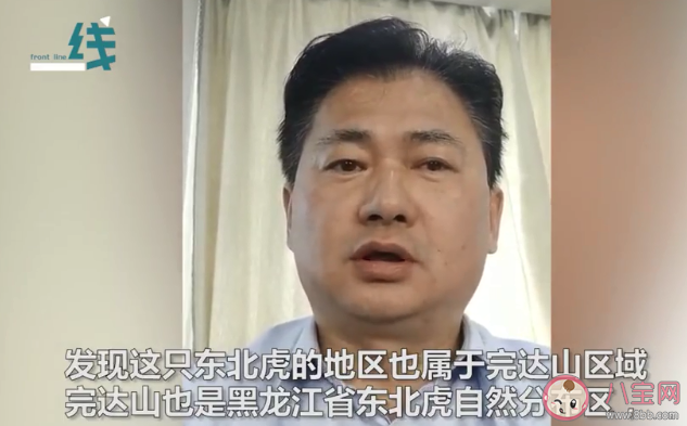 专家回应进村老虎为何叫完达山 完达山是什么意思