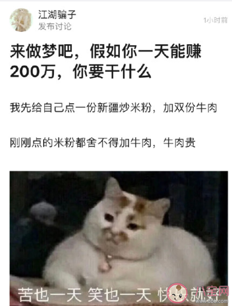 假如一天赚两百万你会干什么 日薪两百万打算怎么花