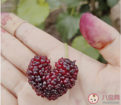 假如一天赚两百万你会干什么 日薪两百万打算怎么花