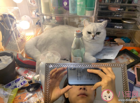 五一票太难买了感慨句子 五一没票回家心情说说