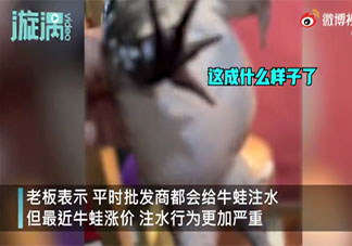 餐馆老板吐槽注水牛蛙如气球 牛蛙为什么会被注水