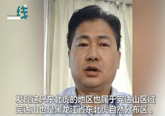 专家回应进村老虎为何叫完达山 完达山是什么意思