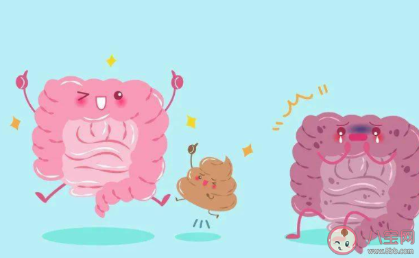 排宿便等于排毒说法靠谱吗 蚂蚁庄园今日4月29日答案 排宿便等于排毒说法靠谱吗 蚂蚁庄园今日4月29日答案