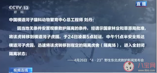 完达山1号为什么要隔离45天 完达山1号会放生到哪里 完达山1号为什么要隔离45天 完达山1号会放生到哪里