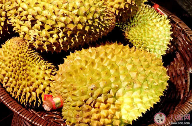 带壳的榴莲能保存多久 买回来的榴莲怎么保存比较好 带壳的榴莲能保存多久 买回来的榴莲怎么保存比较好