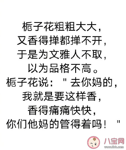 文人作家都是怎么吐槽的 文人作家那些有趣的吐槽盘点