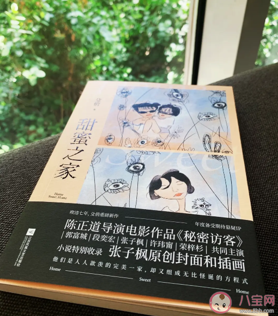 《秘密访客》是根据什么小说改编的 《秘密访客》结局真相是什么