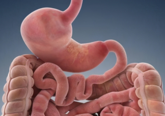 蚂蚁庄园排宿便等于排毒说法靠谱吗 4月29日正确答案