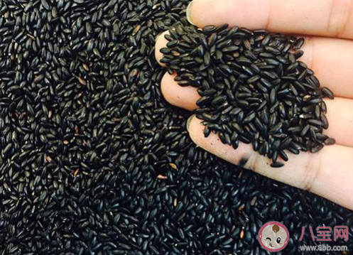 想鉴别买到的黑米是不是人工色素染色哪种方法更靠谱 蚂蚁庄园小课堂4月30日答案