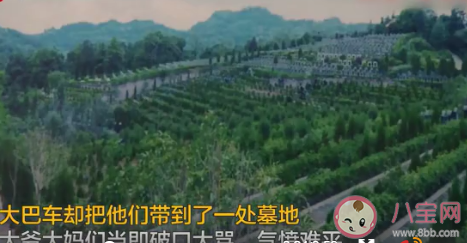 18元一日游被带去参观墓地是怎么回事 抱团旅游靠谱吗