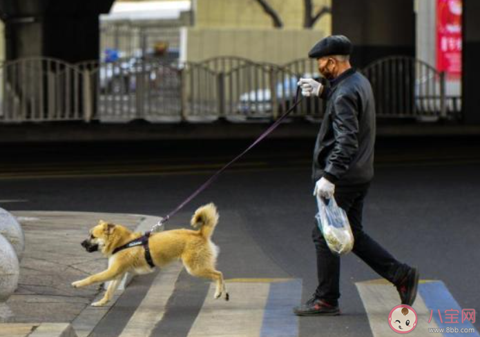 2021年5月新规有哪些 5月具体新规内容