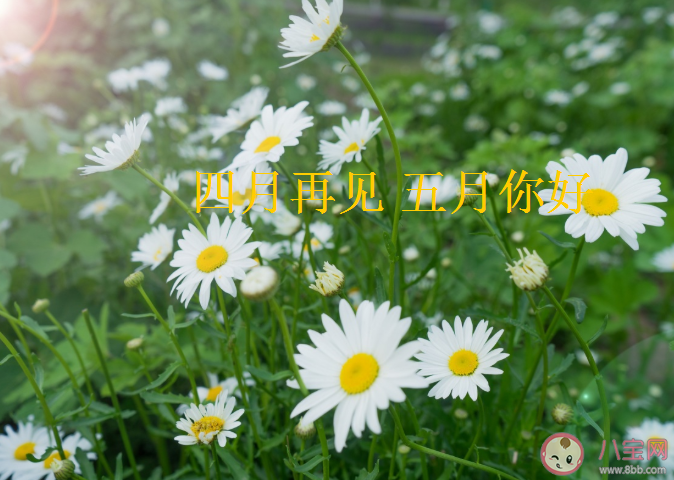 适合五月发的简单温暖文案 四月再见五月你好发朋友圈说说带图片