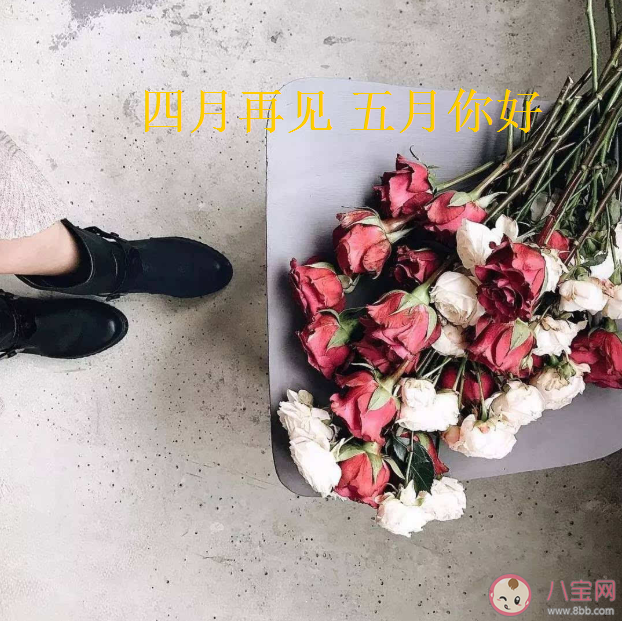 适合五月发的简单温暖文案 四月再见五月你好发朋友圈说说带图片