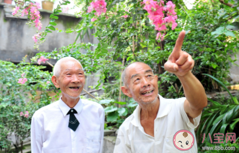 进城是农村父母的晚年陷阱吗 要不要接父母进城度过晚年生活