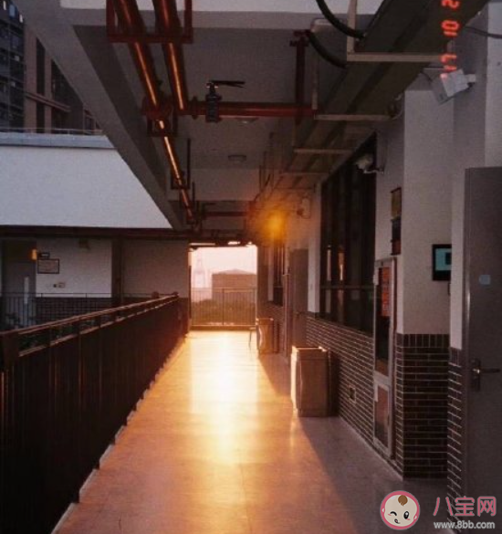 高考那个夏天有多难忘 高考期间最难忘的是什么