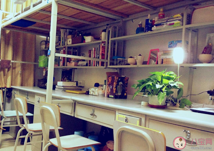 2021北京大学生新规内容 有哪些热点问题 2021北京大学生新规内容 有哪些热点问题