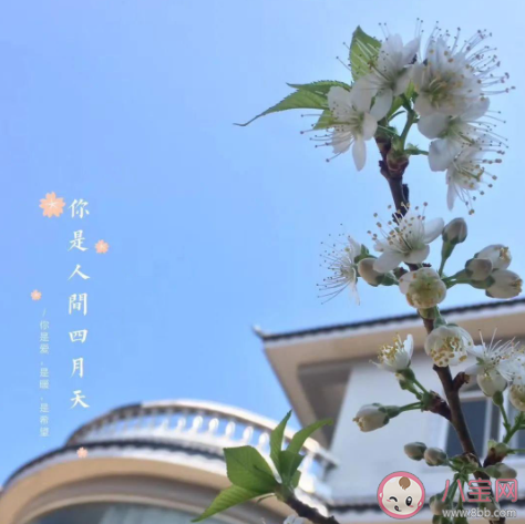 四月最后一天的心情句子配文 四月最后一天告别文案说说 四月最后一天的心情句子配文 四月最后一天告别文案说说