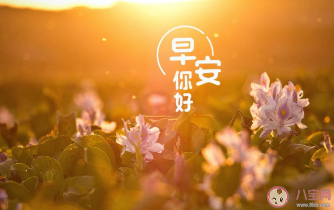 4月最后一天早安心语文案大全 4月最后一天早上好朋友圈句子 4月最后一天早安心语文案大全 4月最后一天早上好朋友圈句子