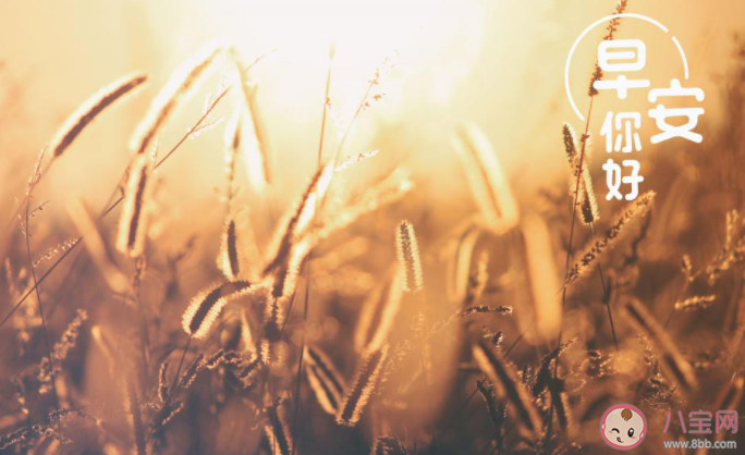 4月最后一天早安心语文案大全 4月最后一天早上好朋友圈句子 4月最后一天早安心语文案大全 4月最后一天早上好朋友圈句子